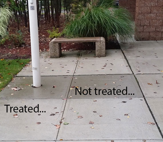 Treated and Untreated Concrete