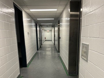 Low-VOC Wall Coating